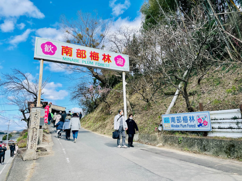 南部梅林