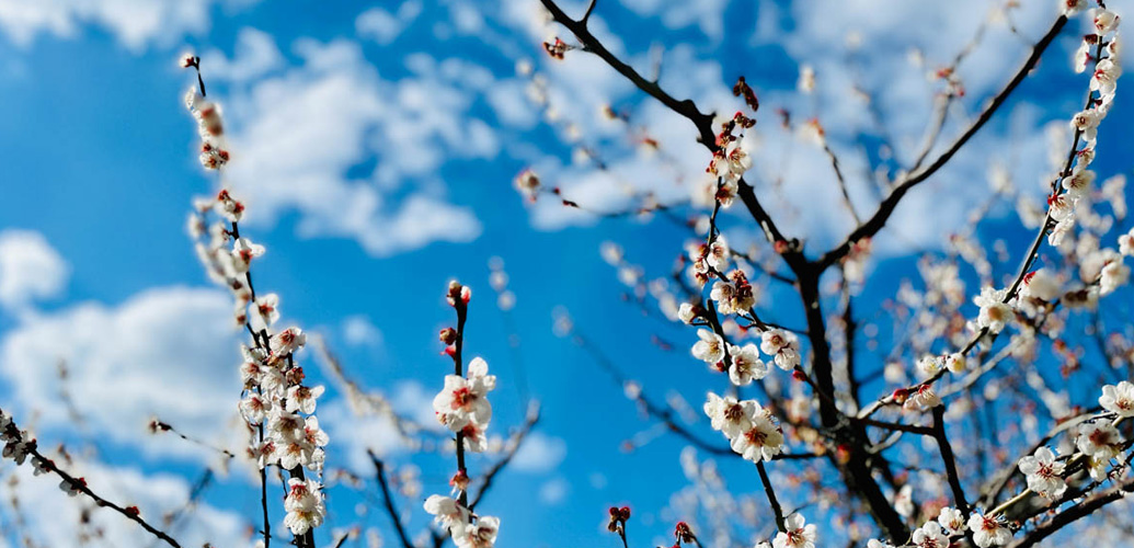 3月のお休み
