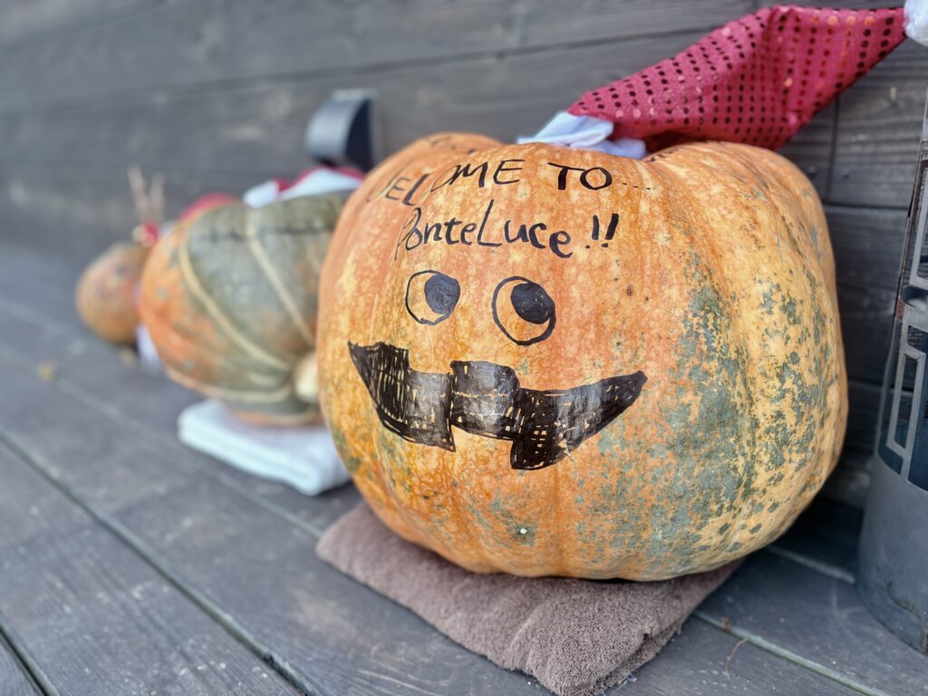 PonteLuce(ポンテルーチェ)かぼちゃ